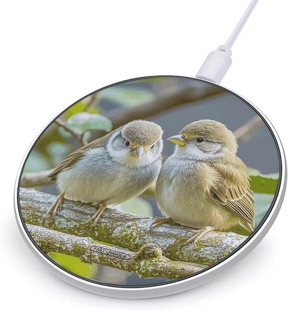 Kiwi Birds Cute Wireless Charger with USB Cable,Aluminum Alloy Frame 10W Max Compatible Fast Wireless Charging Pad- 3.2ft Cable Included for Travel Home Office Desk