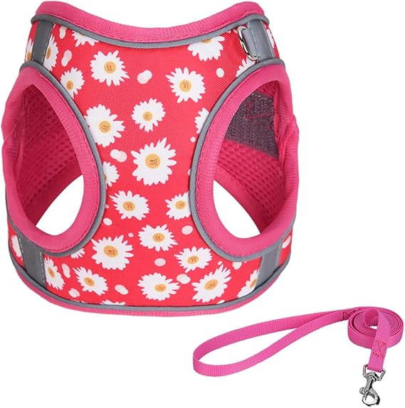 Step in Dog Harness No Pull Flower Adjustable Soft Mesh Harness | Reflective Escapeproof Pet Vest Harness and Leash Set for Small Medium Dogs
