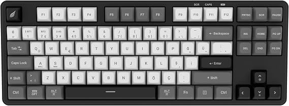 Hawk Gaming HK220 Membrane RGB Wireless/Bluetooth Black White TKL Turkish Gaming Keyboard