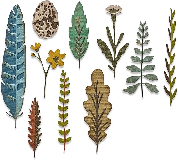 Sizzix Thinlits Die 665215 Funky Nature by Tim Holtz 10 Pack