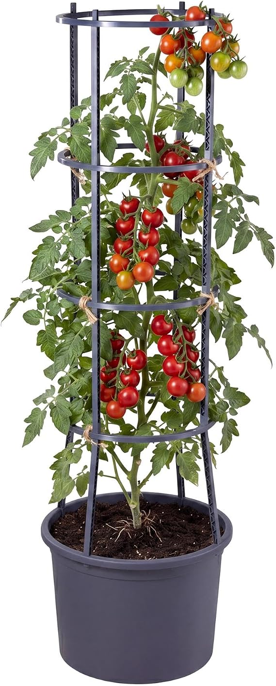 Self Watering Tomato Planter Pot with 4-Tier Trellis for Climbing Vine Plants and Vegetables – Drainage Holes, Easy Assembly, Weather-Resistant –