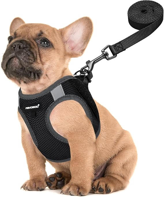 FAYOGOO Service Dog Vest Set for Small Dogs, Mesh Harness and Leash