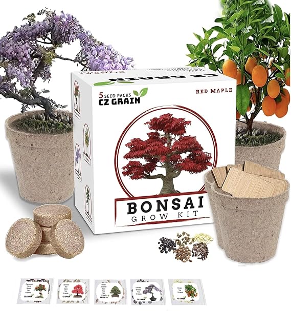 Bonsai Tree Kit Grow 5 Species of Bonsai Tree w/Our All-in-One Plant Kit: Bonsai Pots & Peat Pellets Including a Tutorial Video by CZ Grain | Great Gardening Gifts for Women and Men