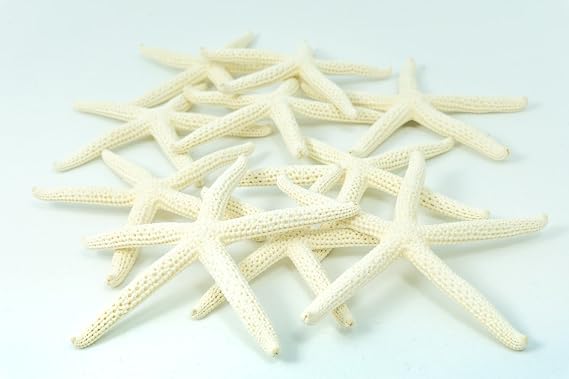 Starfish Decor - Star Fish for Craft - 10pk Real 2-3" White Sea Stars - Beach Wedding Decor - Coastal Party Decorations - Seashell Decor - Shells for Crafts - Nautical Decor - Bulk Shells for Crafts