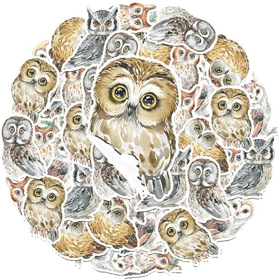 25 PCS Owl Stickers Pack - Mystical Bird Decals for Nature Enthusiasts, Crafting, and Personalizing Gear