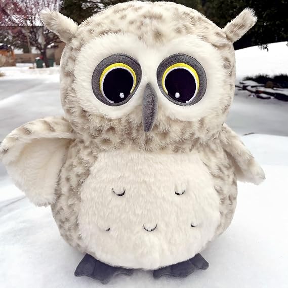 Ryttir 15.7 Inch Chubby Snowy Owl Stuffed Animal, Adventure Stuffed Owl Plush Toy, Brave Boy's and Girl's Room Decor, Funny Gift for Kids and Women