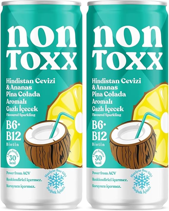 Fersan Nontoxx Hindistan Cevizi Ananas Sirkeli Gazlı İçecek 250 ml 2li paket