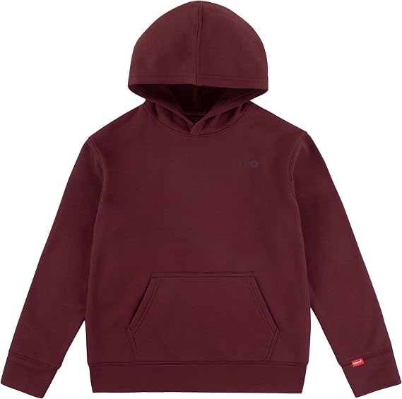 Levi's Boys' Soft Knit Graphic Pullover Hoodie