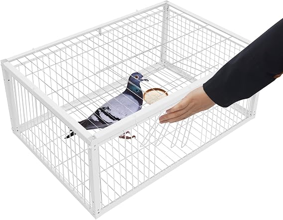 Pigeon Cage, Pigeon Trap with Escape-Proof Design, 24" x 16" x 10"