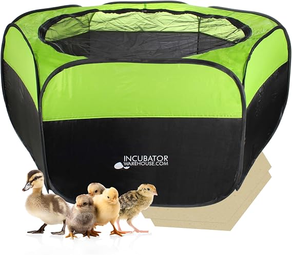 Insta BrooderTM for Hatchlings, Chicken Pop Up Playpen, 10.5 x 10 x 4 inches