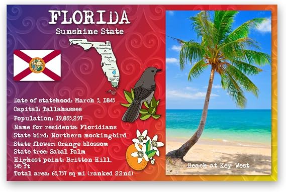 FLORIDA STATE FACTS postcard set of 20 identical postcards. Post cards with FL facts and state symbols. Made in USA.