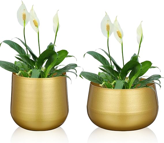 2 Pcs Plant Pot Gold Vase Metal Flower Pot Vase with Drainage Hole, Modern Storage Organizer Decorative Gifts for Wedding Indoor Outdoor Living Room Balcony Decoration Floor Display