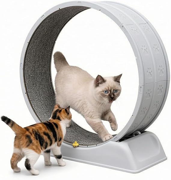 Cat Exercise Wheel with Safety Lock Removable Carpet for Indoor Cats