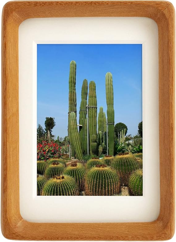Wood Picture Frame with Mat, Desk or Wall Display Mid Century Inspired Rounded Adge Picture Frames Natural Wood Horizontal or Vertical Display