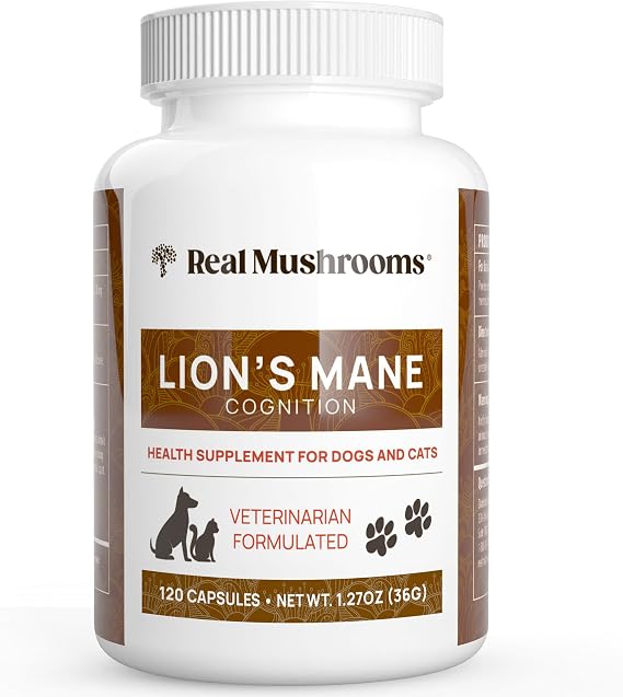 Real Mushrooms Lion's Mane Supplement for Cats and Dogs, 120ct