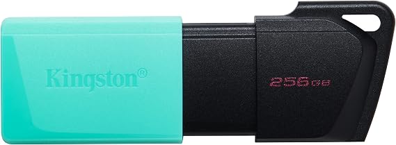 Kingston DataTraveler Exodia M DTXM/256 GB USB 3.2 Gen 1 - Çeşitli Renklerde Hareketli Kapak, Siyah