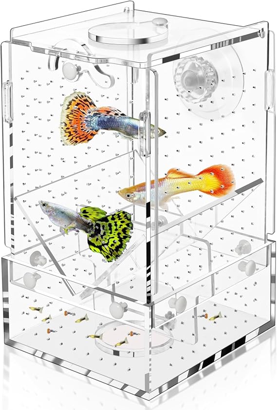 Breeder Box for Fish Tank, Fish Breeder Box for Aquarium, Acrylic Hatchery Incubator Tank with Suction Cups Isolation Box for Baby Fish Shrimp Betta and Guppy (Design to Contain Egg, 4x4x6.5)