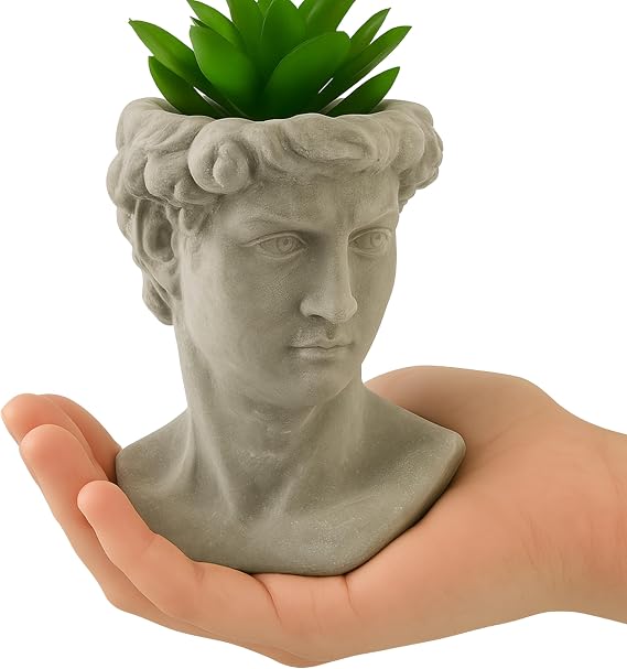 Greek Statue Head Cement Planter - Unique Sculpture Plant Pot for Indoor Outdoor Home Garden Decor (6")