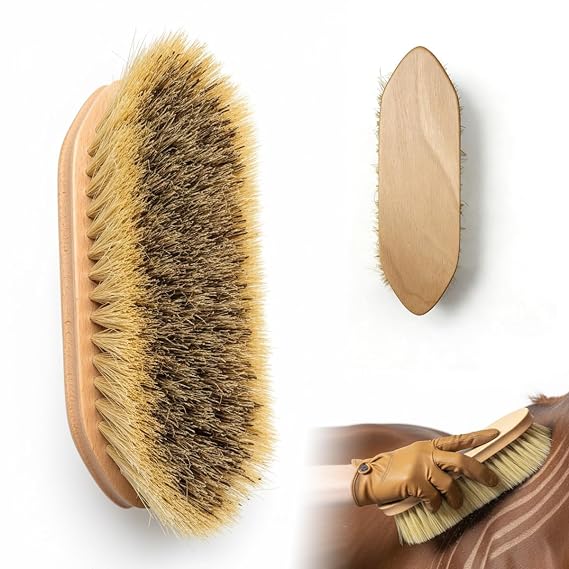 ZenithGroom - Dual Bristle Horse Dandy Brush for Grooming Deep Clean Mud Removal & Coat Shine in One, Stiff Inner Core & Soft Outer Bristles, Beechwood Handle, Professional Equine Body Brush
