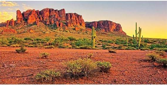 AWERT 24x12 in Terrarium Backdrop Desert Cactus Reptile Habitat Background