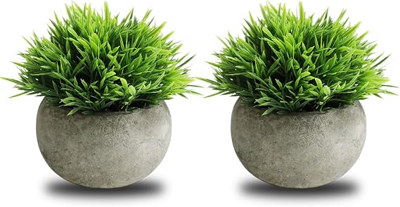THE BLOOM TIMES 2 Pcs Small Fake Plants Artificial Potted Plants Home Decor | Maintenance-Free, Mini Plastic Faux Greenery for Shelf, Windowsill, Desk, Bathroom, Office and Indoor Decoration