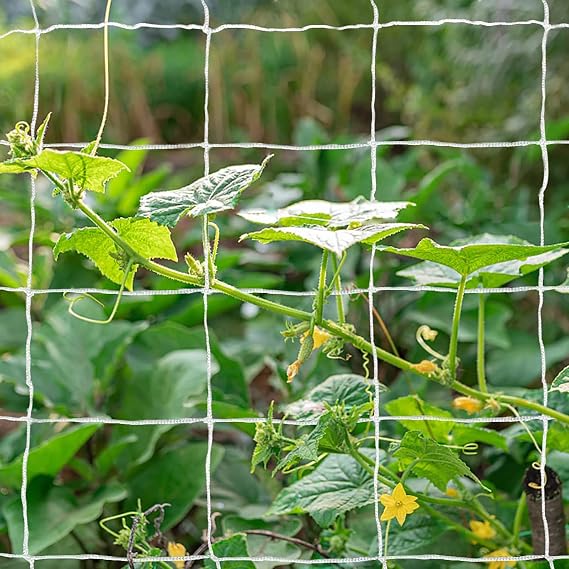 Tcamp Heavy-Duty Polyester Garden Trellis Netting, 5Ft x15Ft (1 Pack)
