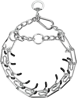 Stainless Steel Dog Training Collar, Quick Release Buckle, Adjustable Collar for Large Dogs Neck Girth 12-17