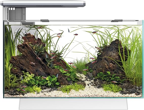 Superfish Quadro 40 Multicolour LED White 28 Litre Aquarium Fish Tank