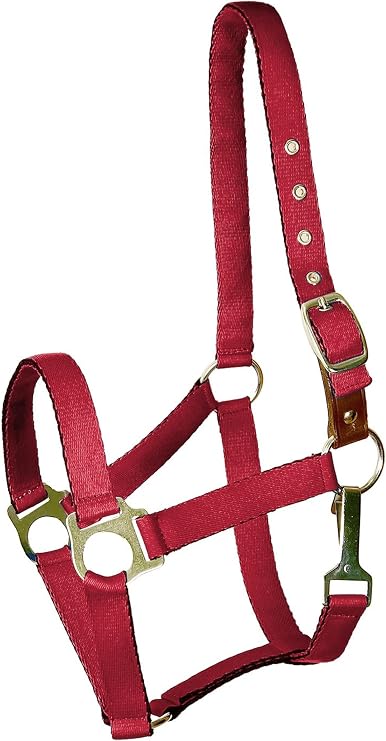 Gatsby Nylon Safety Breakaway Halter Cob Red