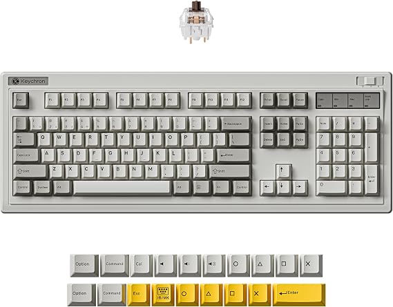 Keychron R6 Retro Wireless Mechanical Keyboard, 100% Full Size Hot Swappable RGB Apex Brown Switch, QMK Tri-Mode(2.4 GHz/Bluetooth/Wired), Compatible