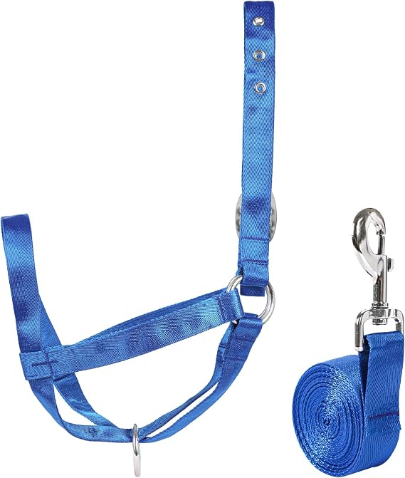Calf Halter with Leading Rope Adjustable Calf Halter with Leading Rope for Miniature Horse Donkey Goat Foal Nylon Cattle Training Supplies Blue L
