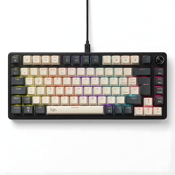 Gameagle%75 RGB Mekanik Gaming Klavye, Full Anti-Ghosting, Dayanıklı ABS Gövde, Örgü Kablolu, Hot Swap, Silinmez Double Shot Tuşlar, 82 Tuşlu Mekanik Oyuncu Klavyesi Mavi Switch KB-09 (Siyah - Beyaz)