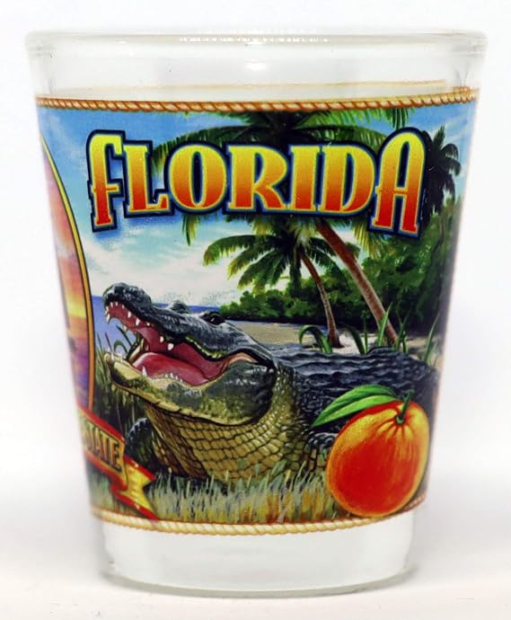 World By Shotglass Florida State Mural Shot Glass jks