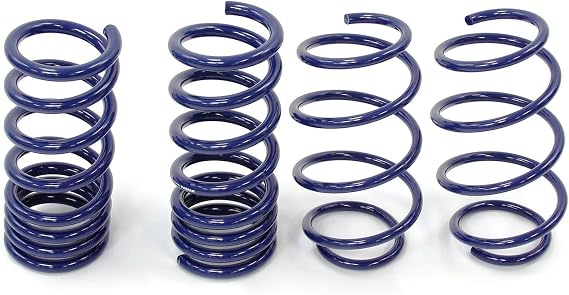Steeda 555-8210 Progressive Coil Spring Set (15-16 Mustang GT/V6)
