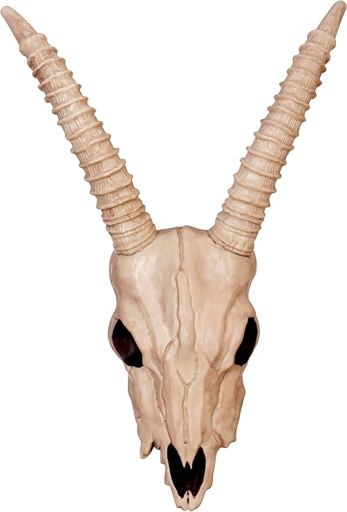 Crazy Bonez - Gazelle Skull | European Style Mount, Molded Plastic, 12 x 18 Inches, Realistic Skull Design