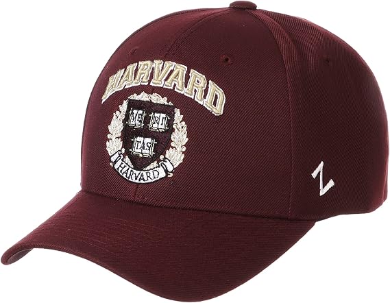 ZHATS NCAA Unisex-Adult NCAA Officially Licensed Snapback Hat Competitor Team Color