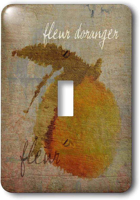 3dRose lsp_44744_1 Orange Blossom- Oranges- French Art Single Toggle Switch