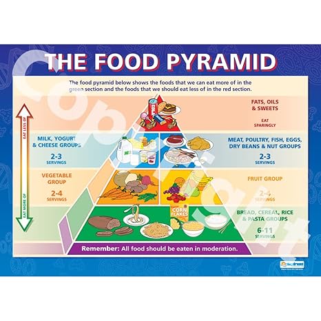 The Food Pyramid | PE Posters | Gloss Paper measuring 850mm x 594mm (A1) | Physical Education Charts for the Classroom | Education Charts by Daydream Education