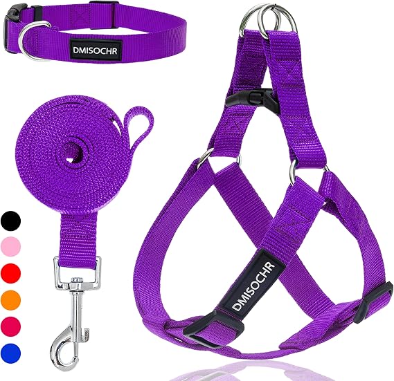 No Pull Dog Harness, Leash & Collar Set, Adjustable Step-in Vest