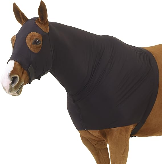 Equi-Essentials Stretch Full Zip Hood M Black
