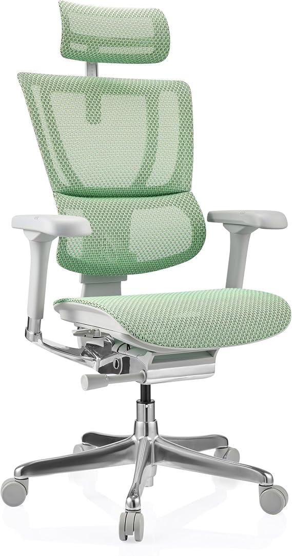 hjh OFFICE Ergohuman Ergonomic Slim G GEN2 Office Chair Original Design 24-Hour Use Swivel Chair with Flexible Lumbar Support Mesh Green