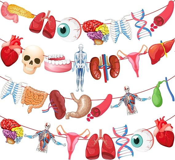 4pcs Human Anatomy Body Part Theme Banners Human Anatomy Party Decorations Body Part Party Supplies for Doctors Birthday Party Nurse Graduation Party Supplies