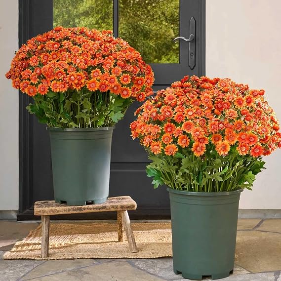 TLOPA Artificial Mums, 2025 New Artificial Sunset Mums, Artificial Mums for Outdoors Fall - UV Resistant, Waterproof, Fake Fall Flower Daisy for Decoration for Home Porch (5Bundtel Orange)