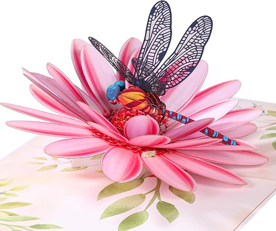 Pop Up Birthday Card for Women, 3D Dragonfly Gerbera Daisies Flower Birthday Cards, Ideal Gift for Mothers Day, Birthday, Valentines, All Occasion for Her, Wife, Mom, Grandma, Sister, Daughter
