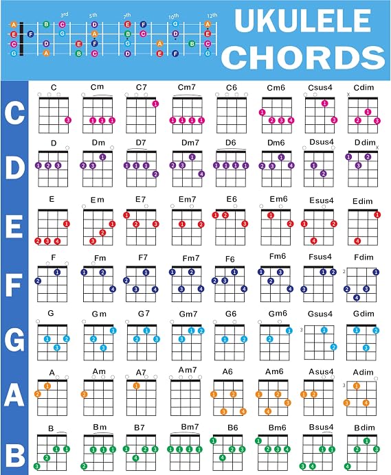 QMG Ukulele Chords Poster, An Educational Reference guide for Ukulele Players and Teachers, Printed on Waterproof, Non-Tearing, Polypropylene Paper, Size: 24x 30 (Folded Shipping)