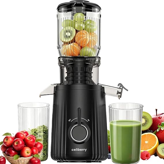Cold Press Juicer Machines, Compact Slow Masticating Juicer