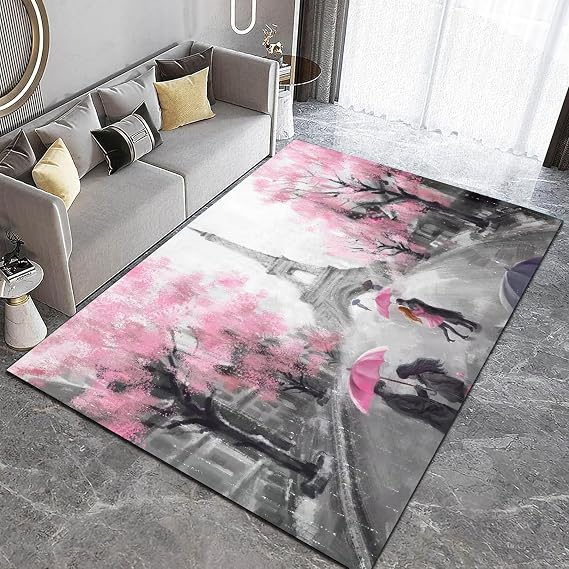 Gray and Pink Bedroom Rug: 3x5 Eiffel Tower Area Rugs Paris Themed Doormat for Living Room Girls Teens Women Entry Dorm Home Decor Romantic Paris Street Carpet Floor Mat