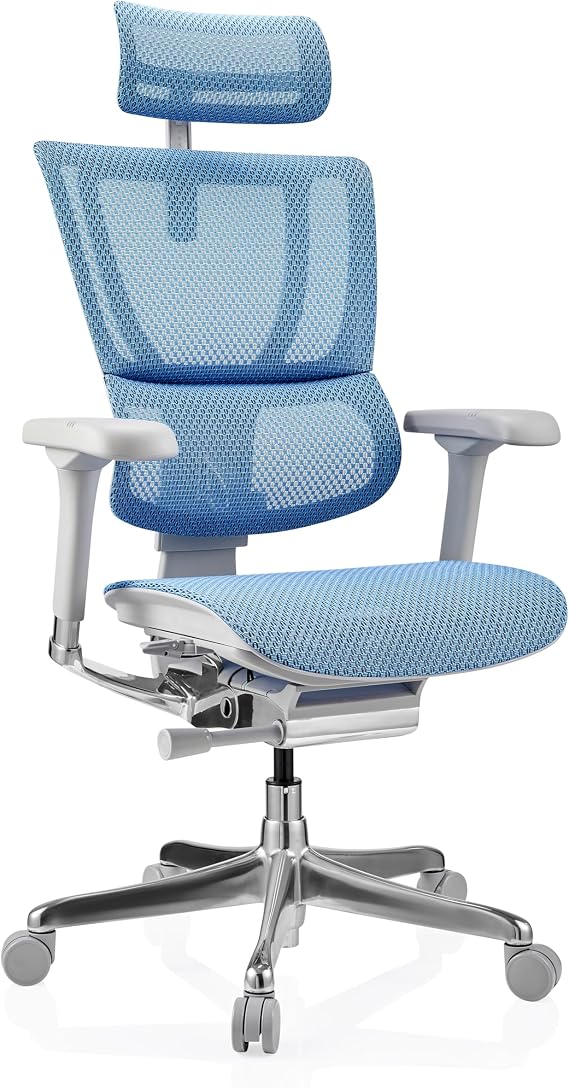 hjh OFFICE Ergohuman Ergonomic Slim G GEN2 Office Chair Original Design 24-Hour Use Swivel Chair with Flexible Lumbar Support Mesh Blue