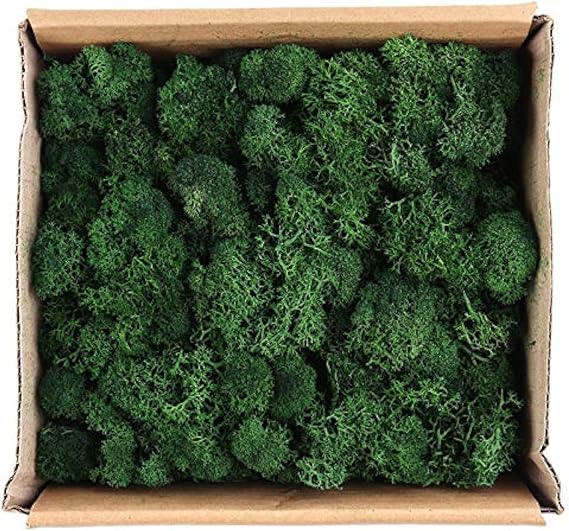Warmiehomy Fake Moss 130g Dark Green Artificial Moss for Crafts and Plants