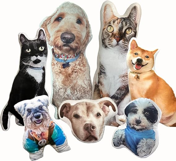 Personalized Ugly Funny Pillow,DIY Abstract Pet Pillows,Custom Cat Dog Pillow-No White Edges,Mischief Pillows (White Edges)